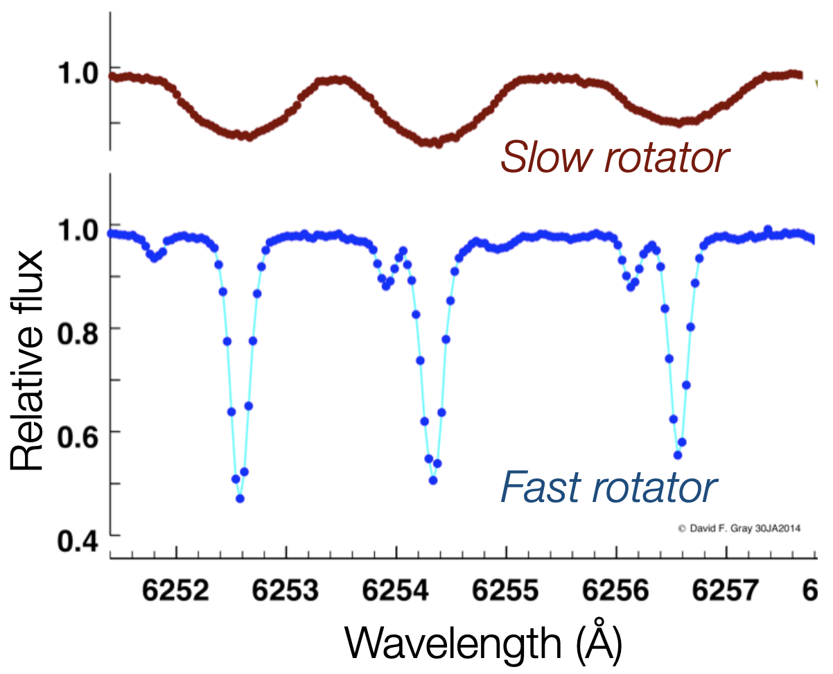 Comparison of stellar spectra showing broader absorption lines in a rapidly rotating star and narrower lines in a slowly rotating star.
