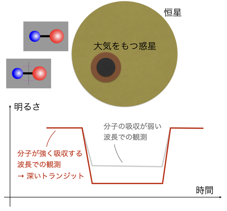 透過分光の模式図。惑星大気の分子が強く吸収する波長ではトランジットが深くなる。